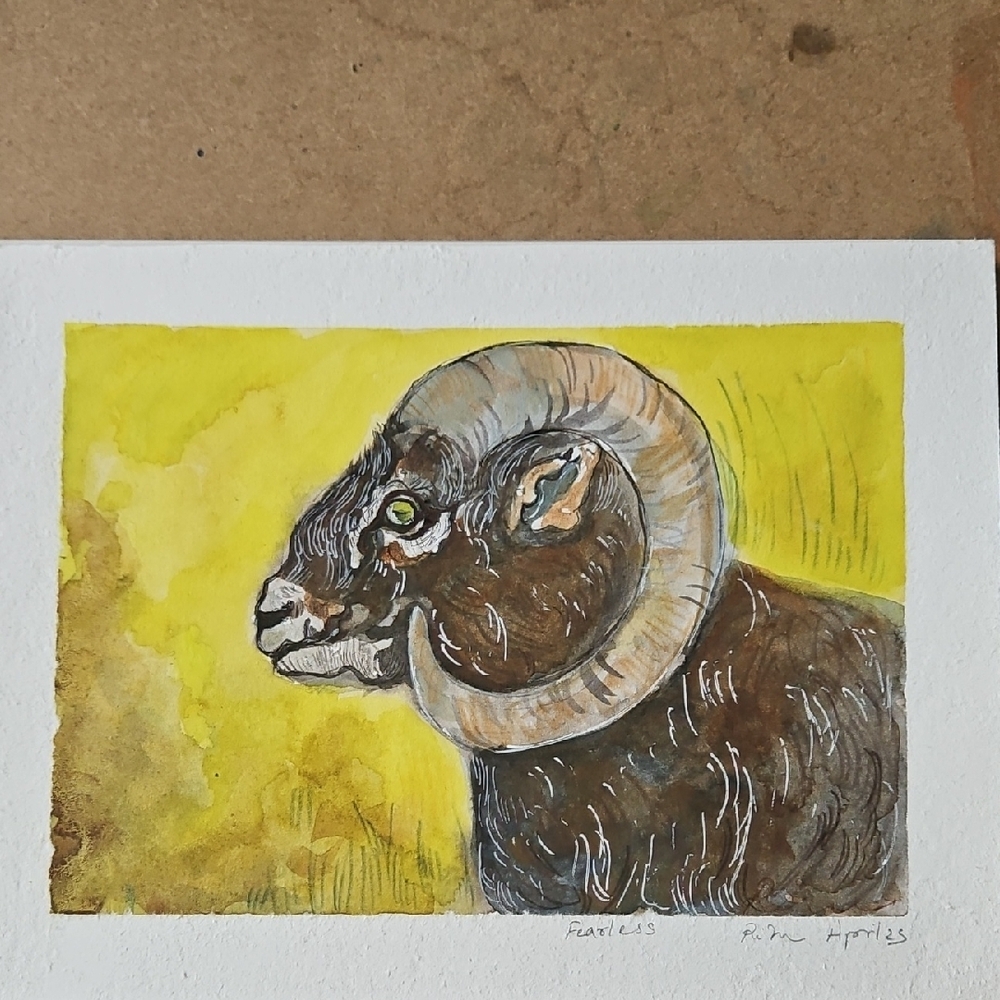 "Fearless" -Yellow and Brown Ram Original Artwork in Watercolour.